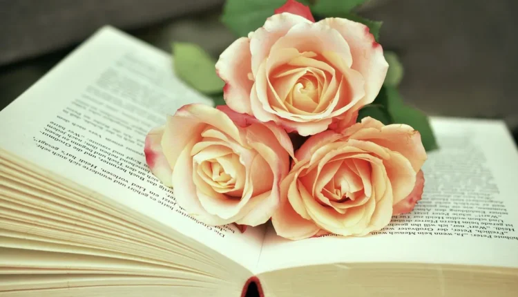 Qual o livro com mais páginas do mundo: O recorde impressionante