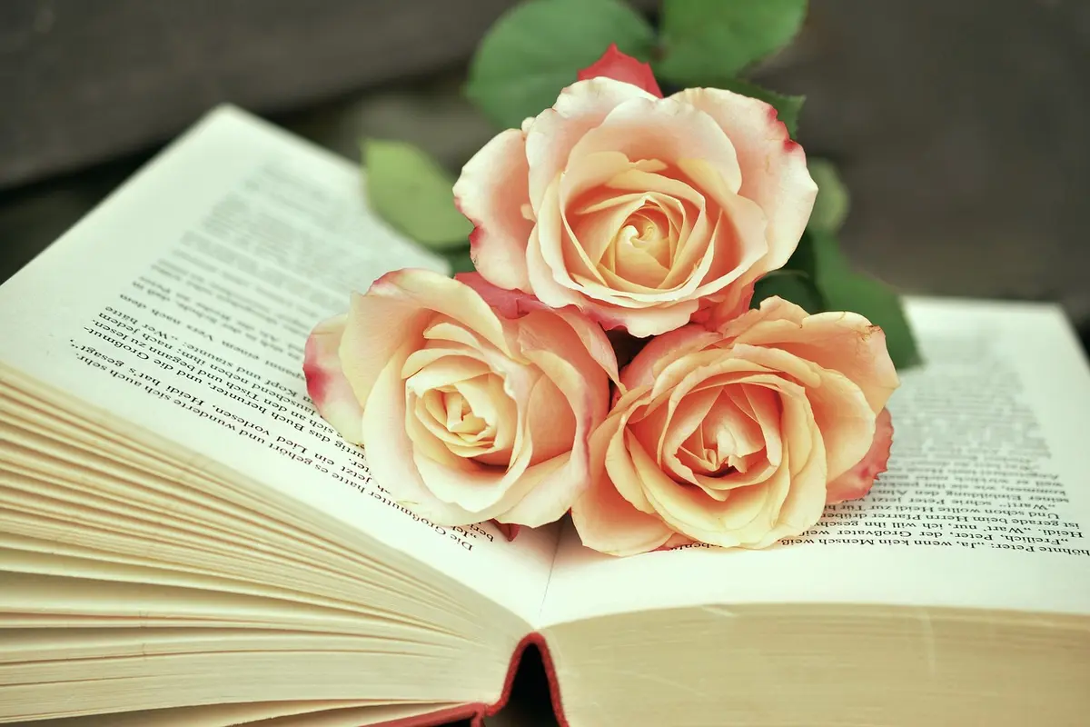 Qual o livro com mais páginas do mundo: O recorde impressionante