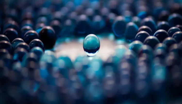 Destaque sem nome: Entenda o Conceito e Suas Aplicações