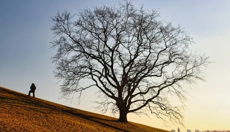 Moro ou Morro: Entenda a Diferença Entre Esses Termos