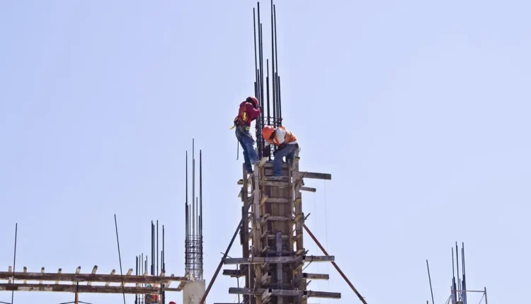 Profissões com B: Tudo o que Você Precisa Saber