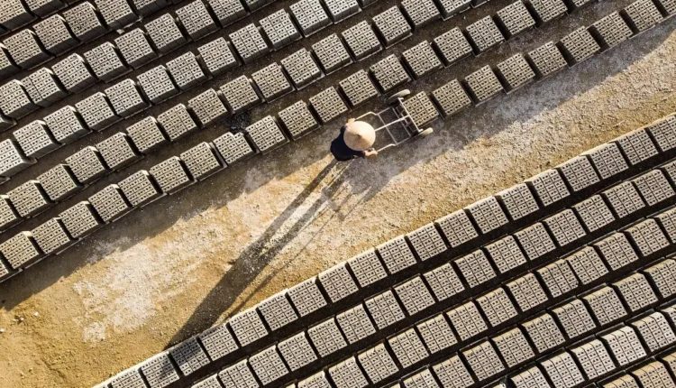 CBO 411005: Entenda Tudo Sobre essa Classificação Profissional