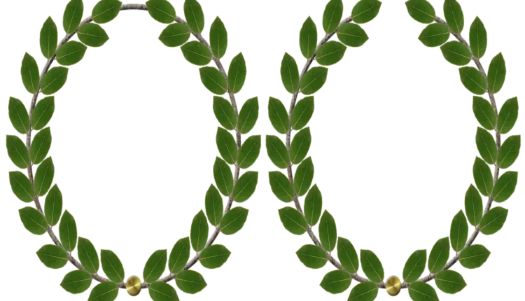 O que significa loor: Entenda sua definição e uso